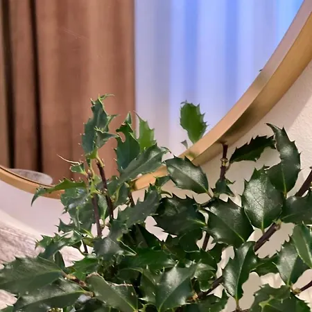 Apartman Kesklinna Zen Viljandi