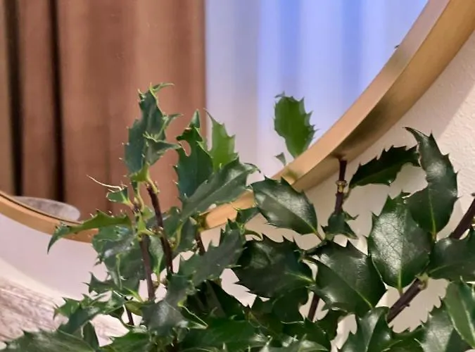 Apartment Kesklinna Zen Viljandi (Viljandimaa)